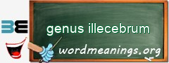 WordMeaning blackboard for genus illecebrum